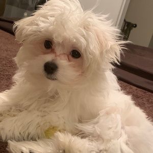 Meet your Posher, Jl